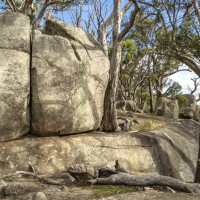 <a href="https://www.goldfieldsguide.com.au/explore-location/366/dog-rocks/" target="_blank">Dog Rock</a>